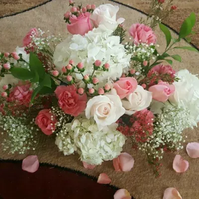 Petals & Beyond