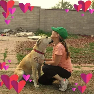 A & G Pet Grooming  LLC