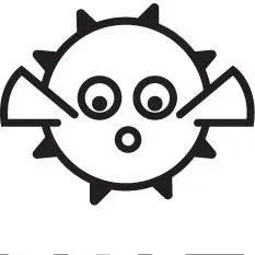 BLOWFISH DESIGNS