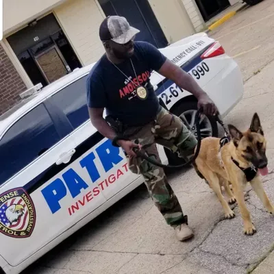 Defense Patrol & Investigations. LLC