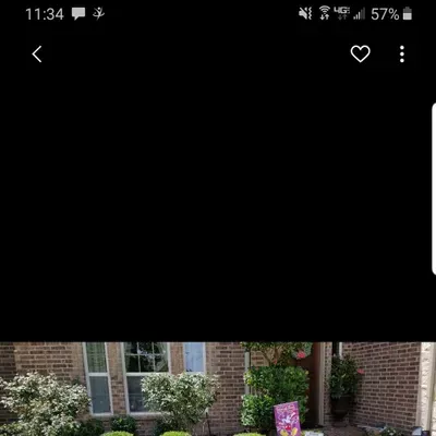 Delgado lawn service