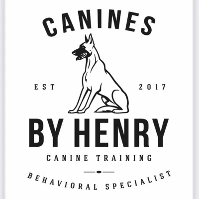 Canines By Henry