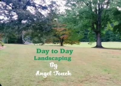 Day To Day Landscaping