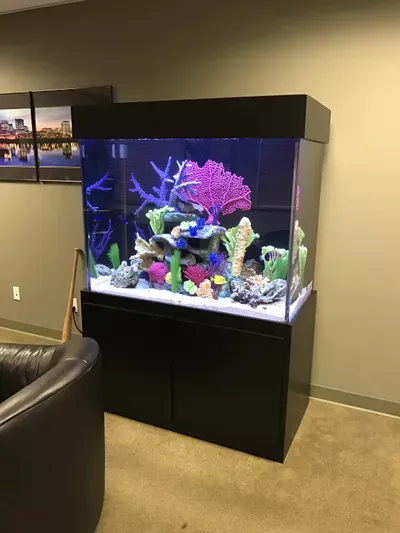 Classic Aquariums, LLC