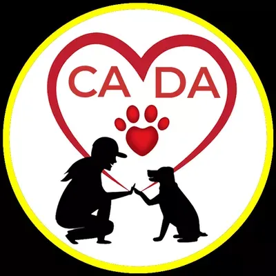Cousin Anne’s Dog Academy