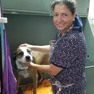 Ana's Dog Spa /Dog Grooming on Conway
