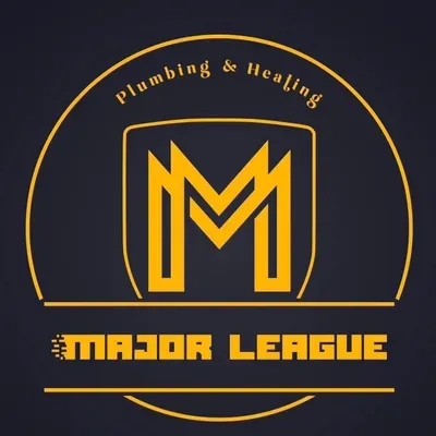 Major League Services LLC