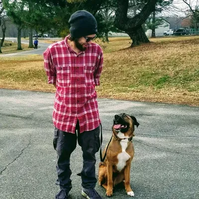 Conformed Canine Coaching