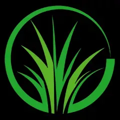 Artificial Grass Arizona