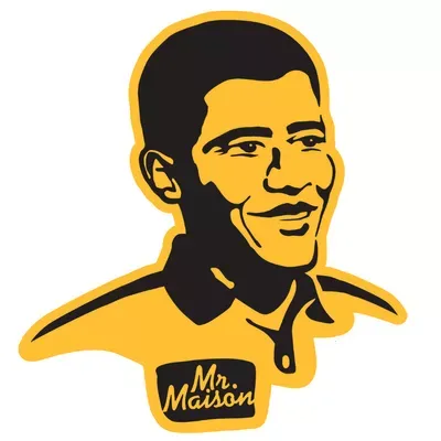 Mr. Maison Plumbing and Drain, LLC