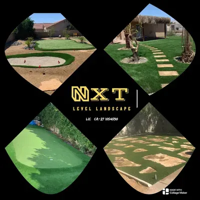 NXT Level Landscape