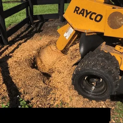 Gottago Tree Services