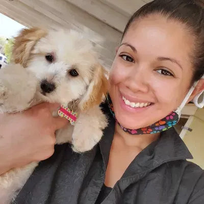 Zee's Dog Grooming