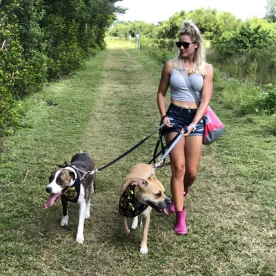 Pawsome Duo