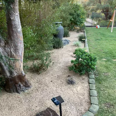 Barbosa’s Sod installation and turf