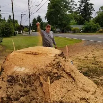 Doug's Tree Service