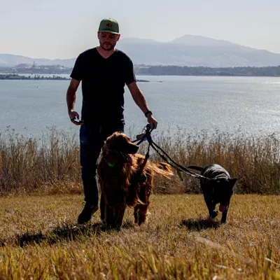 Vallejo Pet Services