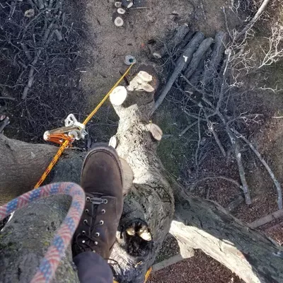 Canopy Care Arborist, LLC