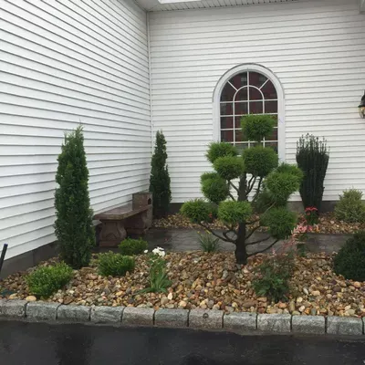 Professional Landscape and Irrigation