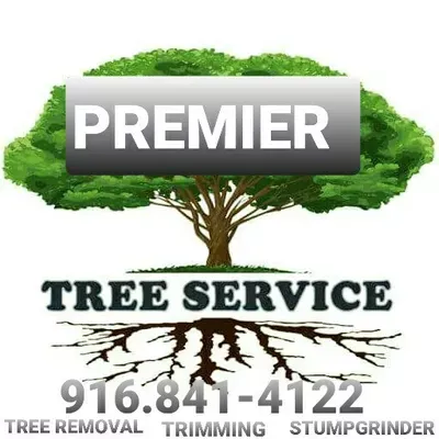 Premier Trees