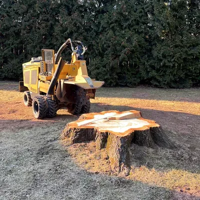 Scott’s Stump Grinding LLC
