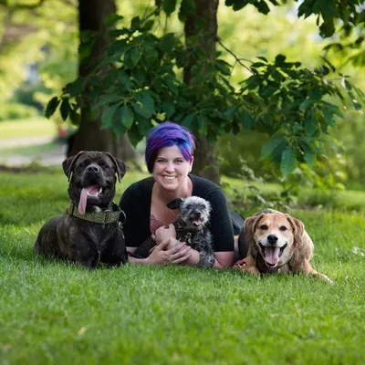 VGB Dogs