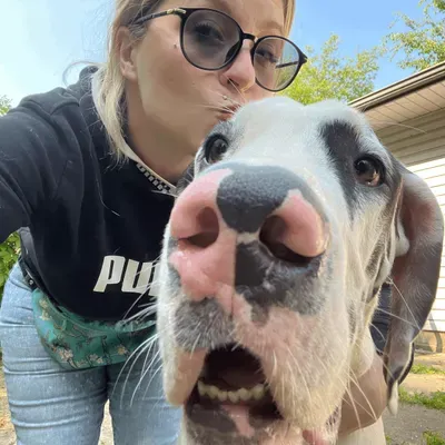 Megghund