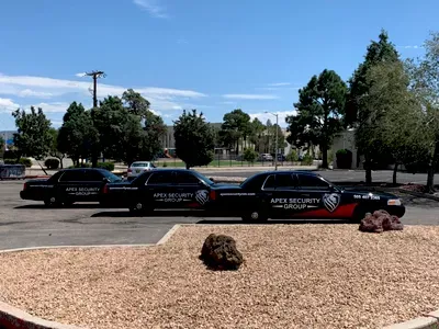 Apex Security Group