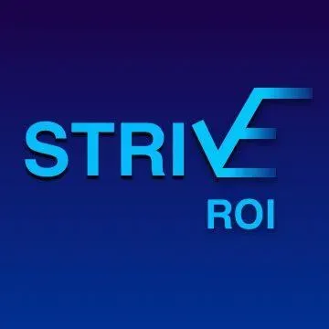 StriveROI Consulting