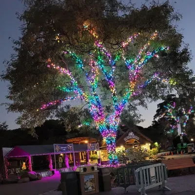 Creative outdoors