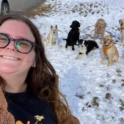 Ducey’s Dogs