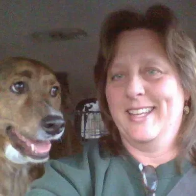 Homefront Animal Care