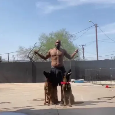 Diversified Kennels LLC