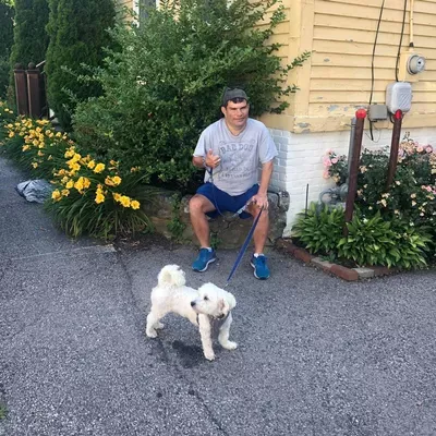 Josh’s dog walking service