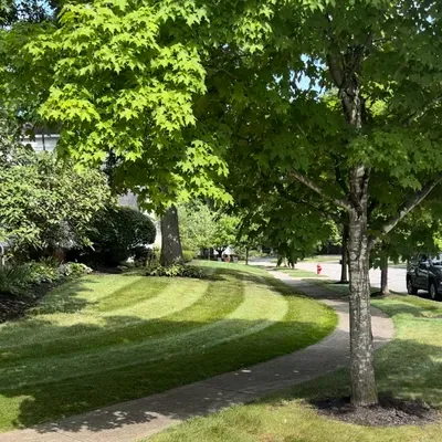 Ncc Property Management