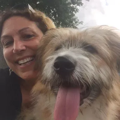 Bark Busters Boston Northwest In-Home-Dog-Training