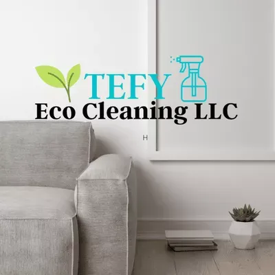 TEFY  ECO CLEANING LLC