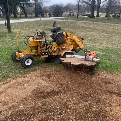 Cory’s Stump grinding