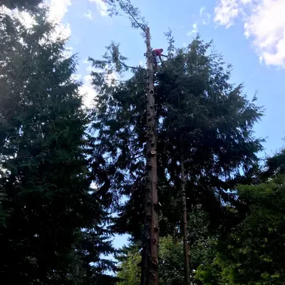 Greenscapes Landscaping & Tree Services