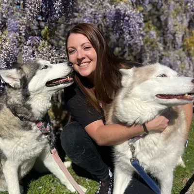 Better Pups Dog Training