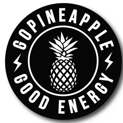 GoPineapple Solar, Roofing, HVAC, Project Finance