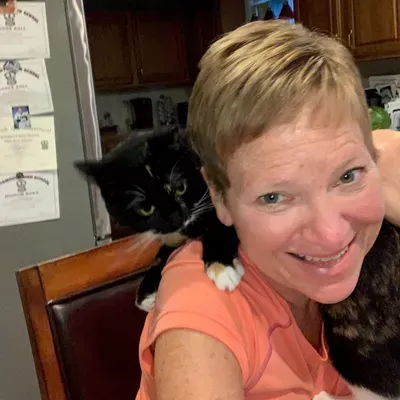 Ann’s Cat Sitting