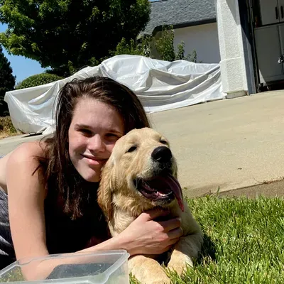 Golden Angel Pet Care