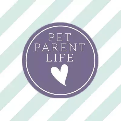 pet parent life