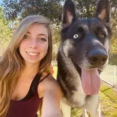 Wild Pup Dog Services