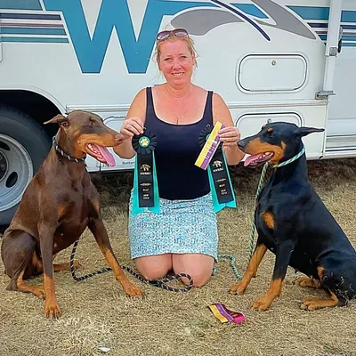 Day Hill Dog Training & Boarding