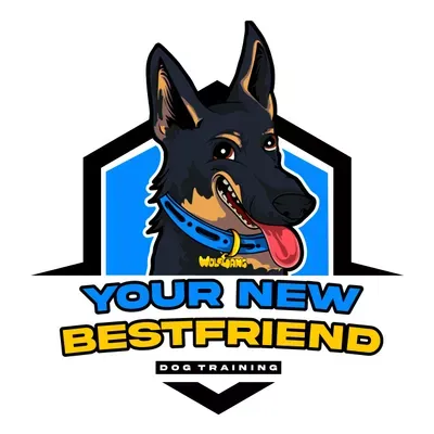 Your New Best Friend