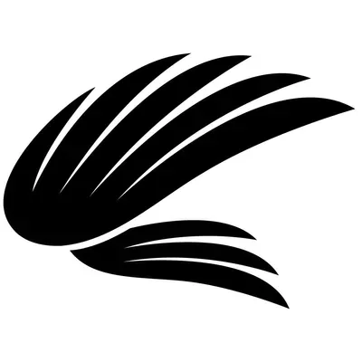 Dr. Garrett - FlyPhysio