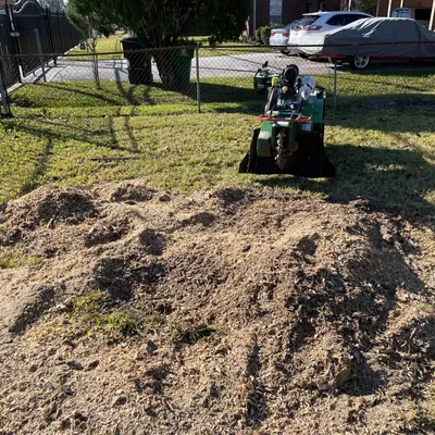 F&J Stump Grinding