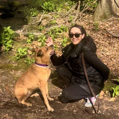 Furever Training